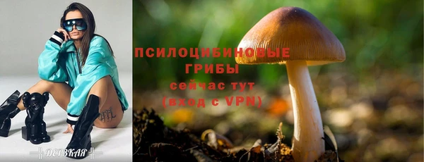 марки nbome Заводоуковск