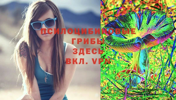 бошки Дмитровск