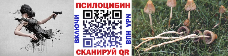 Галлюциногенные грибы MAGIC MUSHROOMS  Купить закладки  Козьмодемьянск 